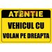 Indicatoare pentru vehicule cu volan pe dreapta